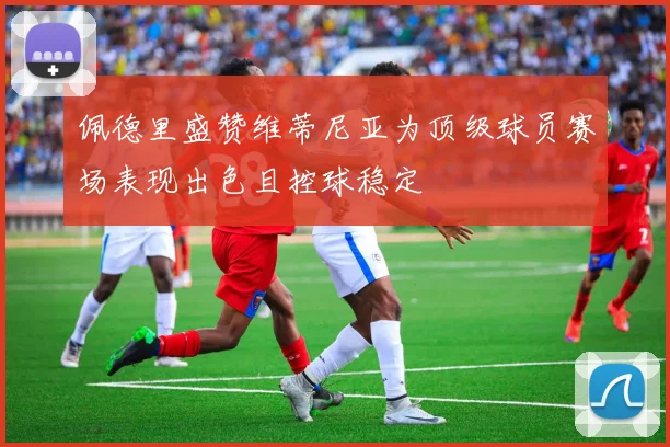 佩德里盛赞维蒂尼亚为顶级球员赛场表现出色且控球稳定