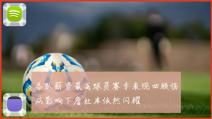 各队薪资最高球员赛季表现回顾伤病影响下詹杜库依然闪耀
